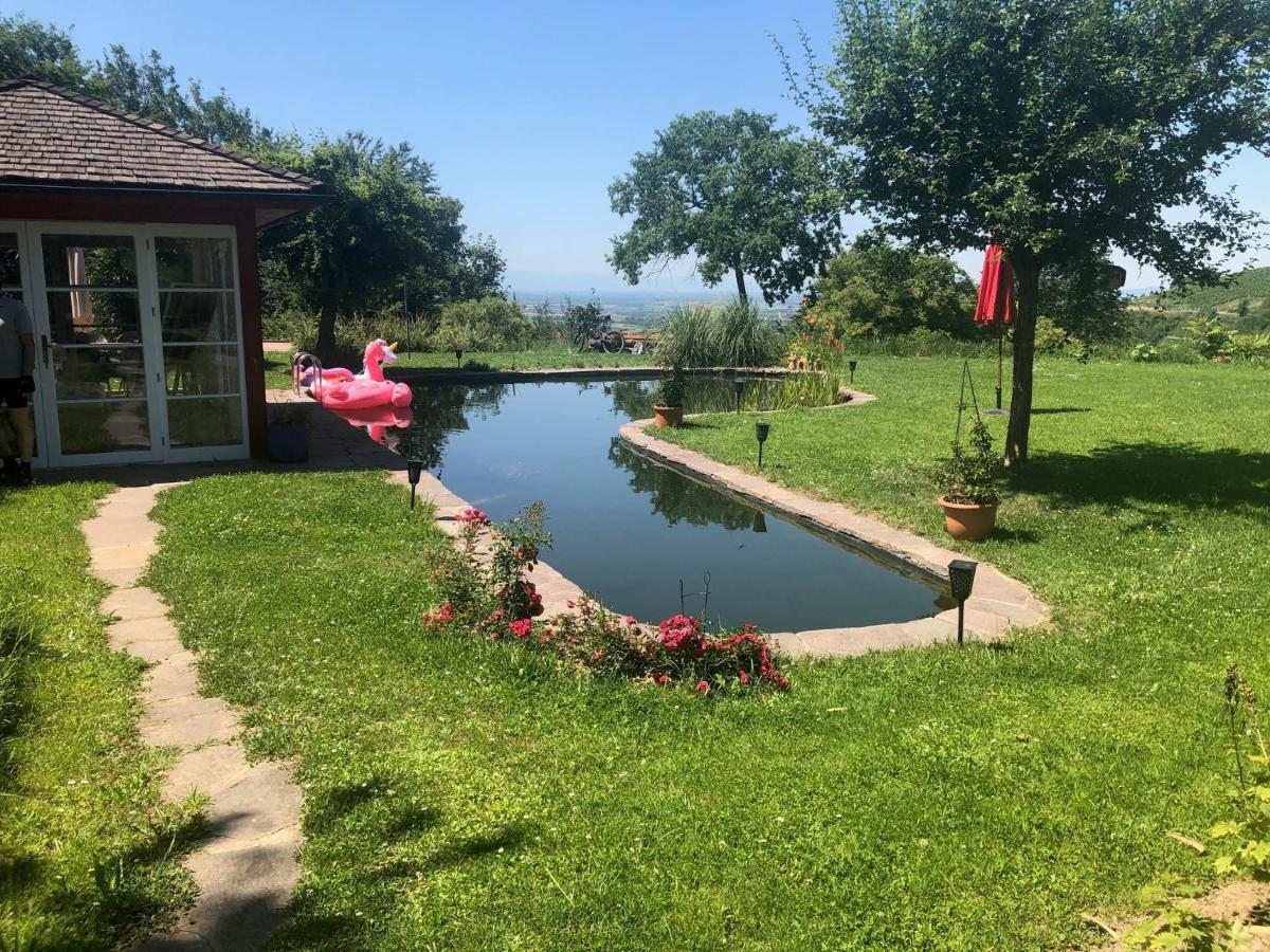 Paradies 2 Castellberg-Jakobsweg Döttingen Dış mekan fotoğraf