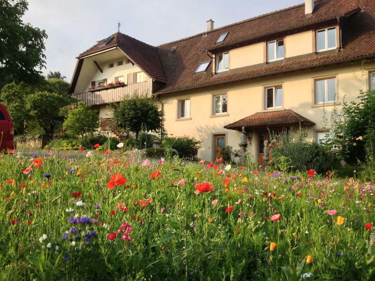 Paradies 2 Castellberg-Jakobsweg Döttingen Dış mekan fotoğraf